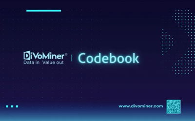 DiVoMiner® Video Guide 3: Codebook